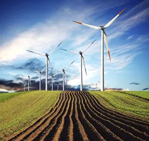 Deciduous Tree Farming Prints: Wind of change ecology