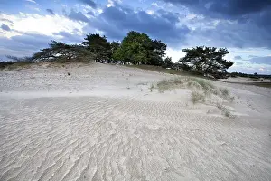 European Rural Landscape Prints: Wind texture on sand dune in clouded day