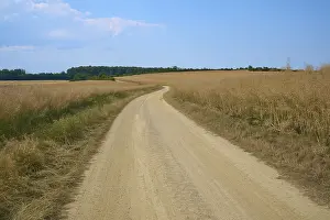 Central European Countryside Prints: A winding sandy path through vast fields under a cloudy blue sky