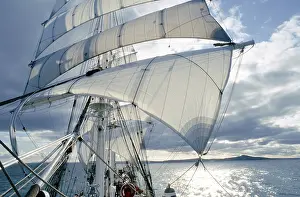 Historic Sailing Vessel Prints: Windjammer under canvas