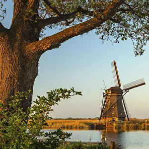 Windmill At Sunset Prints: Windmill at sunset, Kinderdijk