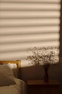 Deserted Apartment Interior Prints: Window shadow bedroom wall