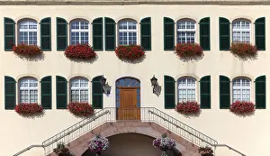 Floral Arrangement Decoration Prints: WindowFront
