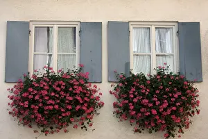Daytime Architecture Photography Prints: Windows with flower boxes