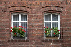 Brick Facade Germany Prints: Windows with flowering geraniums