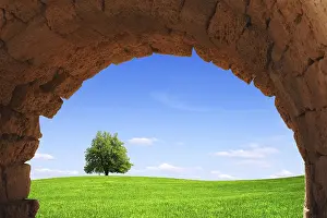 Deserted Agricultural Land Prints: Windows on the World