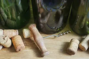 No People Drinking Wine Prints: Wine bottles
