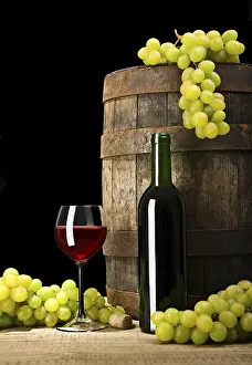 Deciduous Tree Background Prints: Wine composition