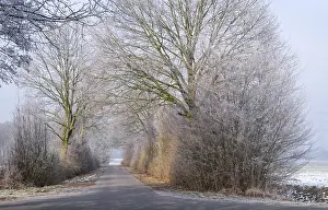 Winter Landscape Photography Prints: Winter