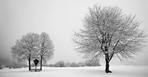 Wintry Nature Scene Prints: Winter idyll