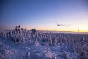 Snowy Countryside Scenery Prints: Winter landscape in the evening light