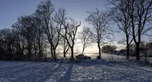 Berlin Winter Landscape Prints: Winter landscape, fields and fields in Berlin Lubars