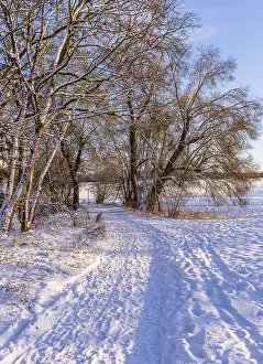 Berlin Winter Landscape Prints: Winter landscape, fields and fields in Berlin Lubars