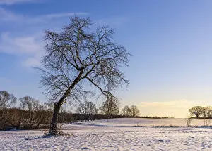 Agricultural Fields Europe Prints: Winter landscape, fields and fields in Berlin Lubars