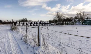 Winter Landscape Berlin Prints: Winter landscape, fields and fields in Berlin Lubars