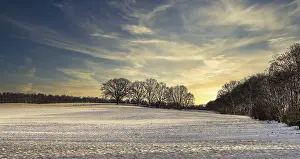 Berlin Winter Landscape Prints: Winter landscape, fields and fields in Berlin Lubars