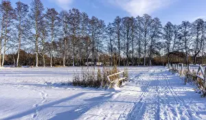 German Countryside In Winter Prints: Winter landscape, fields and fields in Berlin Lubars