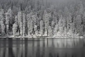Europe Winter Wonderland Prints: Winter landscape at Mummelsee, reflection of the forest