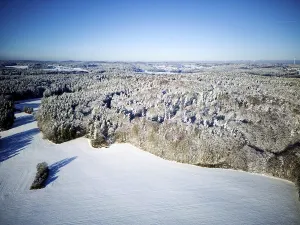 Central Europe Snowy Countryside Prints: Winter, snow, forest, trees, drone