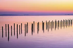 Winter Sunset Prints: Winter sunset at the Dummer