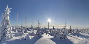 Uninhabited Frozen Wilderness Prints: Winterlandschaft