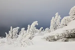 Uninhabited Frozen Wilderness Prints: Winterlandschaft