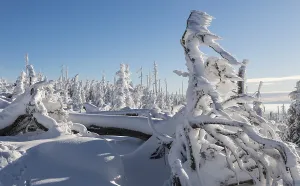 Deserted Winter Landscape Prints: Winterlandschaft