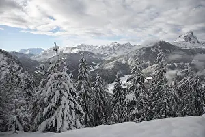 Winter Panorama Prints: Winterly