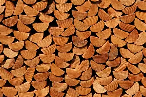 Wood Pile Prints: Wood stack, impregnated pickets