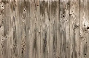 Natural Wood Background Prints: Wood texture with natural patterns