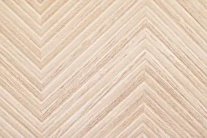 Wood Texture Background Prints: Wood texture as surface background