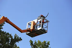 Deciduous Tree Care Prints: Workers on the work platform pruning or maintaining trees