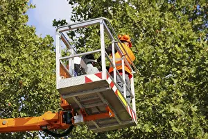 City Park Care Prints: Workers on the work platform pruning or maintaining trees
