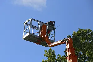 Construction Machinery Prints: Workers on the work platform pruning or maintaining trees