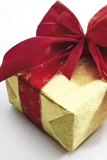 Studio Still Life Prints: Wrapped gift or present
