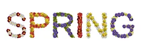 English Spring Flowers Prints: Writing Spring, made from blossoms