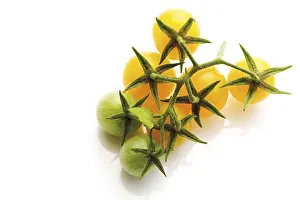 Yellow Cherry Tomatoes Prints: Yellow cherry tomatoes