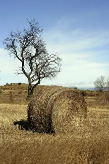 Deserted Farmland Spain Prints: Yellow straw round bale in the fields