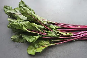 Polish Food Photography Prints: Young beetroot leaves