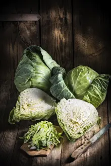 Uncooked Food Photography Prints: Young cabbage