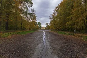 Saxony Landscape Photography Prints: Zabeltitz