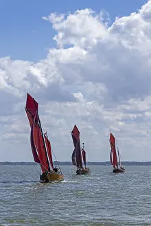 German Baltic Sea Resort Prints: Zeesboot Regatta, Wustrow, Saaler Bodden