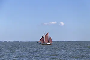 Zeesboot Regatta Prints: Zeesboot Regatta, Wustrow, Saaler Bodden