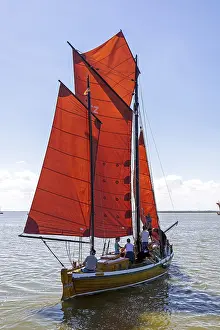 Sailboat Germany Prints: Zeesboot, Wustrow, Saaler Bodden