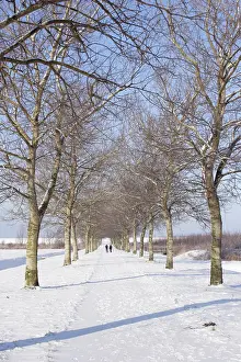 Dutch Winter Landscapes Prints: Almere