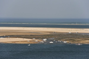 Banc d'Arguin Print from Agami