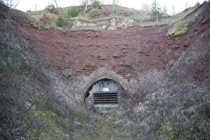 Batcave Print from Agami