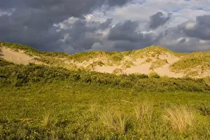 Images Dated 20th June 2009: Berkheide Print: Landscape between Katwijk and Wassenaar