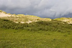 Images Dated 20th June 2009: Berkheide Print, Katwijk to Wassenaar Landscape