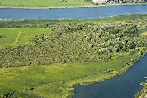 Aerial Photography Netherlands Prints: Bos, Forest
